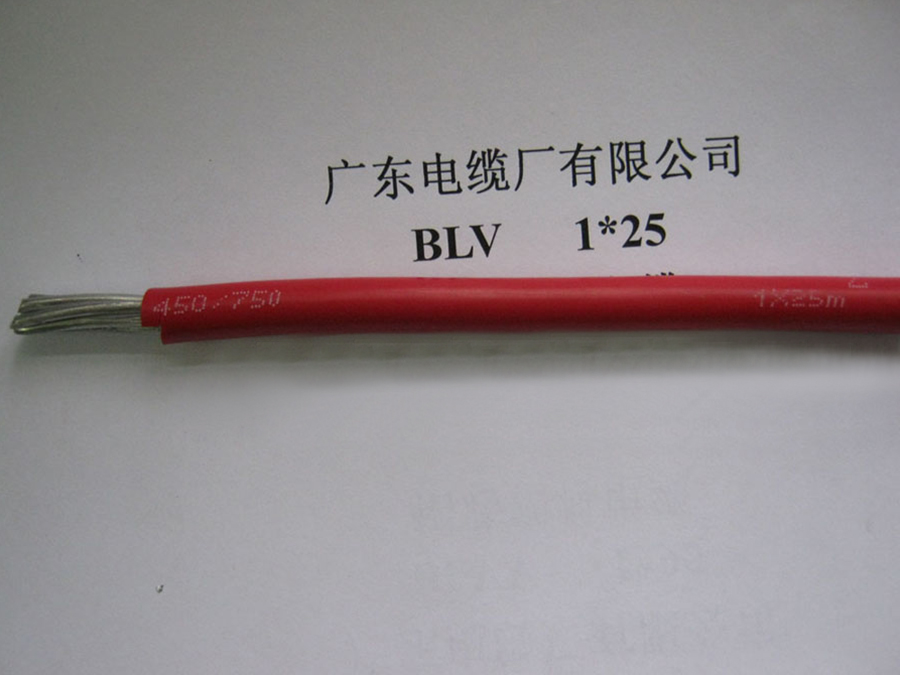 BLV 1*25