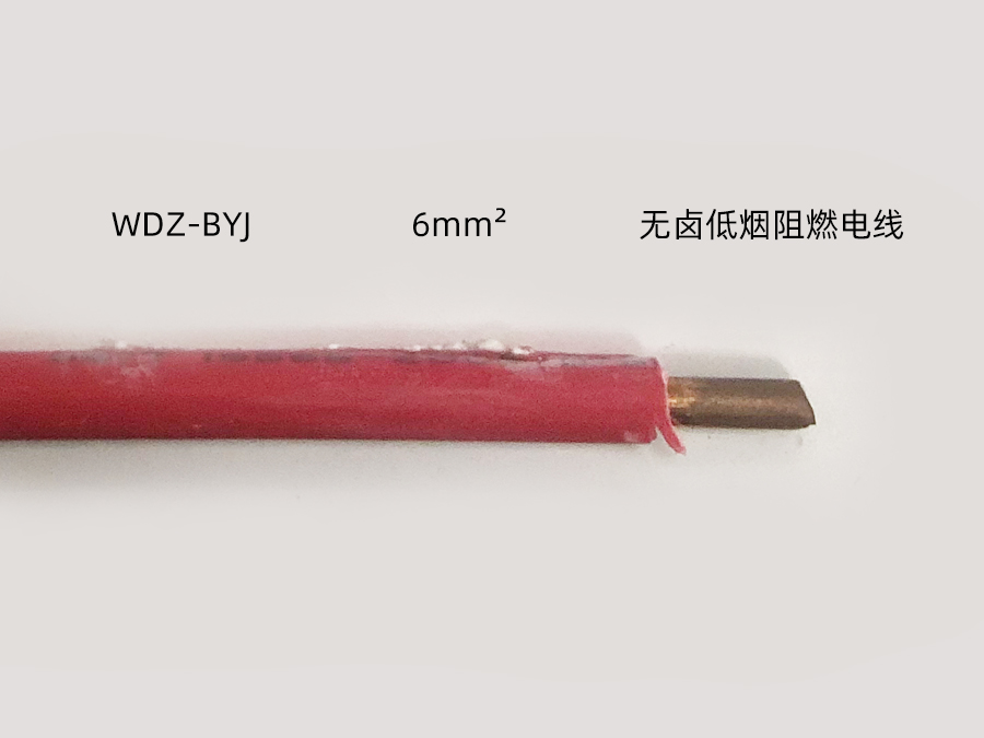 WDZ BYJ 6mm2